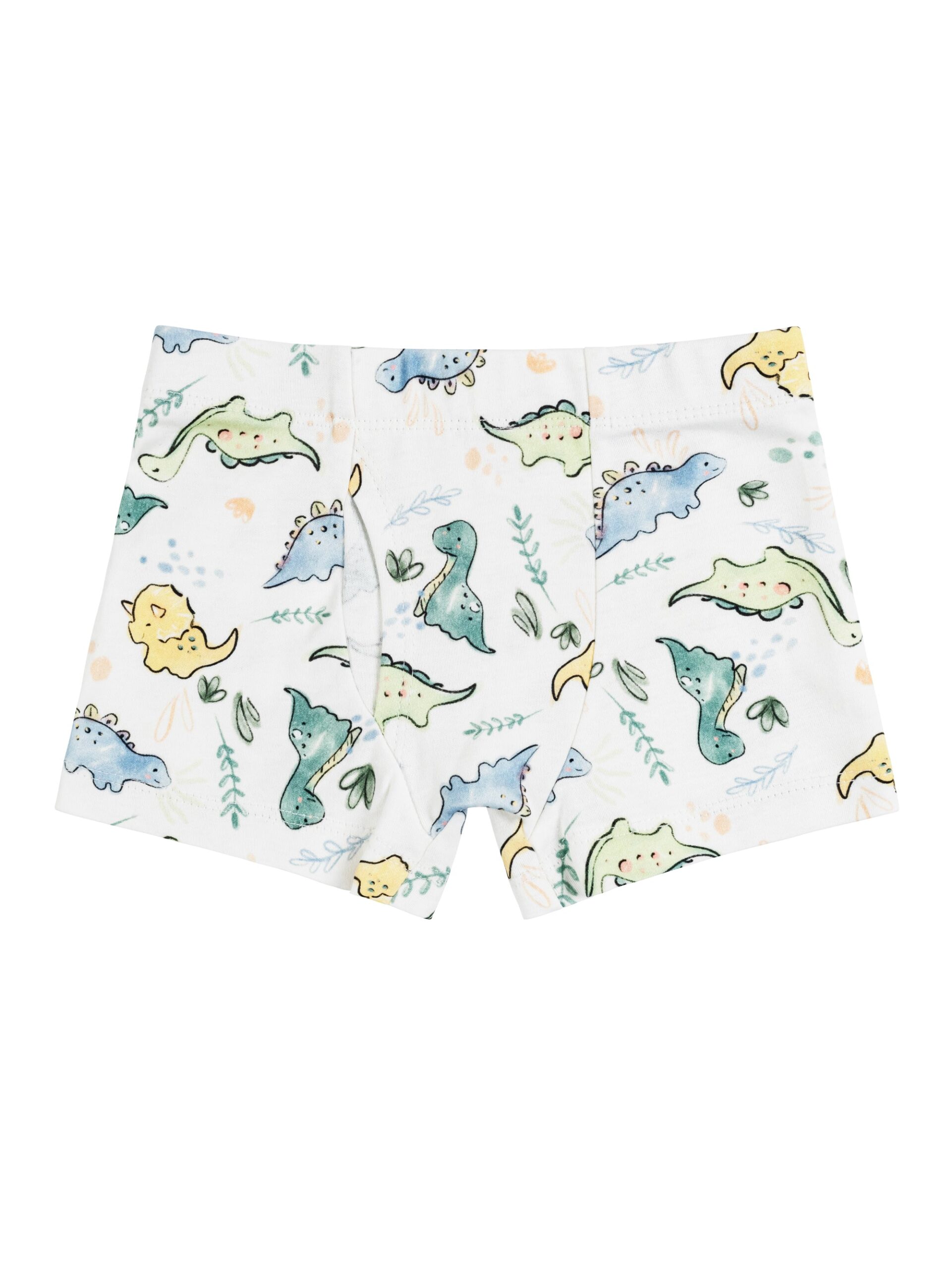 Boys' Dinosaur Print Boxer Briefs